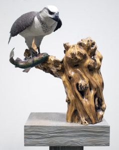 Deanna Bartholow: OSPREY WITH FISH