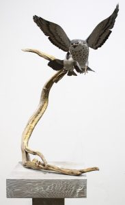 Deanna Bartholow: HAWK PURSUING SPARROW