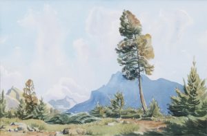 Margaret Dorothy Shelton: TREE IN BANFF CAMPGROUND, MT. RUNDLE
