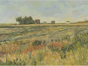 Joan van Belkum: FARM ON CREST OF HILL BESIDE HOLSOM RD MEDICINE HAT