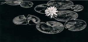 Walter Joseph Phillips: LILY