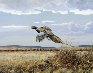 Hugh Monahan: UNTITLED (PHEASANT IN FLIGHT)