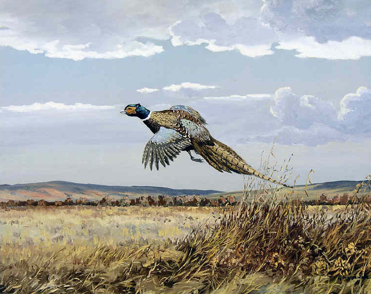 Hugh Monahan UNTITLED PHEASANT IN FLIGHT Hodgins Art Auctions Hugh Monahan UNTITLED PHEASANT IN FLIGHT Hodgins Art Auctions