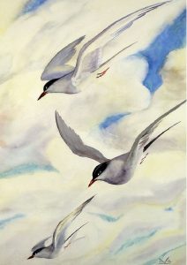 Illingworth Holey Kerr: UNTITLED (GULLS IN FLIGHT)