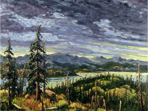 Rod Charlesworth: WINDERMERE VALLEY, LATELIGHT
