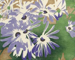 Walter Joseph Phillips: CINERARIA