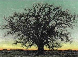 Joichi Hoshi: DAWN