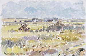 Reta Madeline Cowley: UNCULTIVATED LAND & DISTANT FARMSTEAD #1