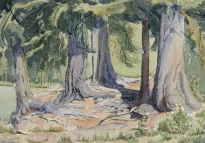 Dorothy Margaret Shelton: DEEP IN THE WOODS