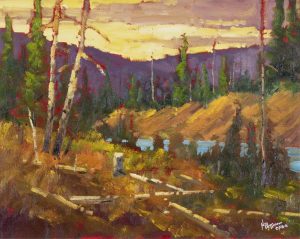 Neil Patterson: CHINOOK LIGHT
