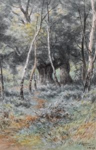 Frederick Arthur Verner: BURNHAM BEECH WOODS SCENE