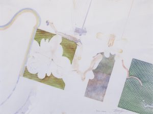 Ted Godwin: DYING ORCHID