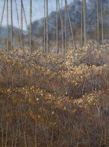 Deborah Lougheed Sinclair: AUTUMN SERIES #4