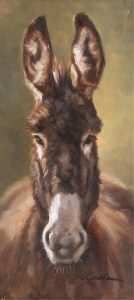Jennifer O’Cualain: DONKEY