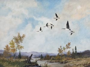 Werner R. Plangg: CANADA GEESE