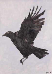 Nicola Prinsen: CROW