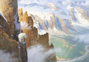 Graeme Shaw: MOUNTAIN GOAT IN HIGH TERRAIN