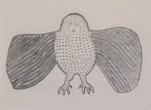 Pauta Saila: OWL