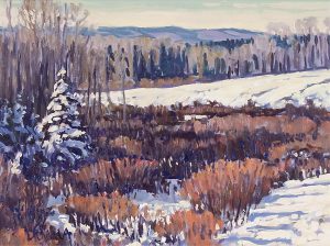 William (Bill) Duma: WINTER COLOR
