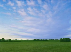 Karl Skaret: BARLEY 2