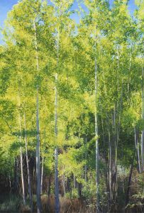 Robert Furlong: SUMMER BIRCHES
