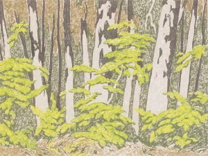 Alfred Joseph Casson: FOREST EDGE