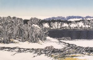 Walter Drohan: BEYOND THE WILLOWS