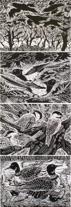 Dora Helen Mackie (4): Canadian ASA, CSPWC, RCA [1926-2018] CROWS / MAGPIES / CHICKADEES / LOONS