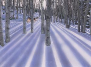Wendy Powell: WINTER LIGHT – WINTER SHADOW – WOLF