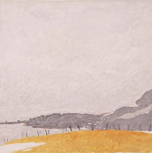 Robert F. M. McInnis: FENCES