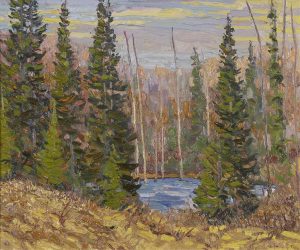 Lawrence Nickle: POND, ARMOUR TWP, EAST PARRY SOUND, ONT