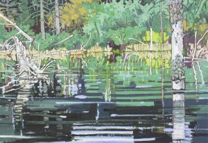 Ted Godwin: KANANASKIS BEAVER DAM