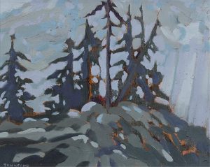Harold William (Bill) Townsend: ON TOP OF THE MOUNTAIN NEAR SQUAMISH, B.C.