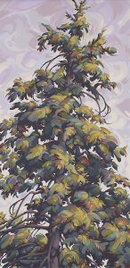 Rene Thibault: A TALL EVERGREEN