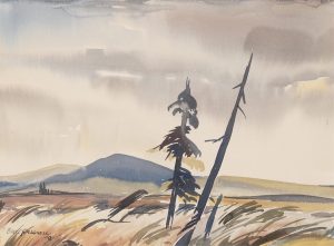 Bartley Robilliard (Bart) Pragnell: RAIN IN THE SKY