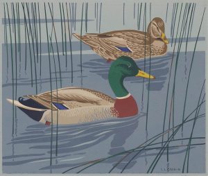 Alfred Joseph Casson: MALLARDS