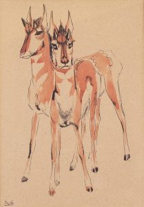 Illingworth Holey (Buck) Kerr: PRONGHORNS