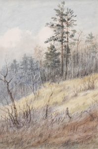 Thomas Mower Martin: TREED HILLSIDE