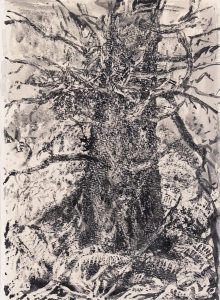 Arthur Lismer: TREE STUDY
