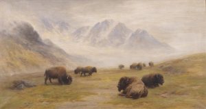 Frederick Arthur Verner: BUFFALO…ROCKY MOUNTAINS