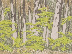 Alfred Joseph Casson: FOREST EDGE