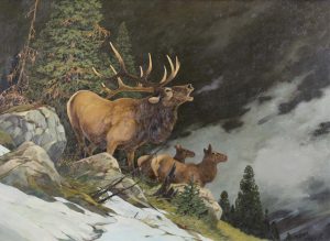 Werner R. Plangg: BUGLING ELK