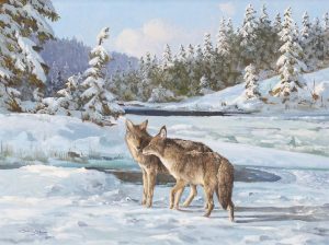 Duncan Mackinnon Crockford: COYOTE FRIENDS