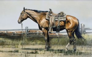 Geoffrey Allan Rock: COWPONY (DOUGLAS LAKE RANCH, B.C.)
