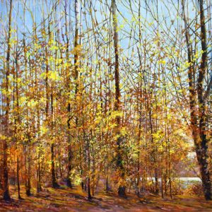 Bev Rodin: FALL GREETING (FOREST LIGHT SERIES)