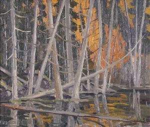 Lawrence Nickle: SWAMP WEST OF FOUND LAKE, ALGONQUIN PARK