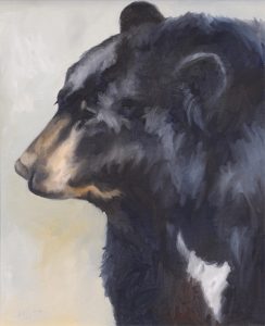 Kindrie Grove: BLACK BEAR