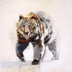 Samantha Walrod: GRIZZLY ROAD: DARK