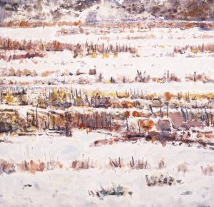 Michael Matthews: COLUMBIA RIVER VALLEY, WINTER