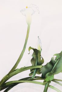 Robert William Sinclair: LILIES